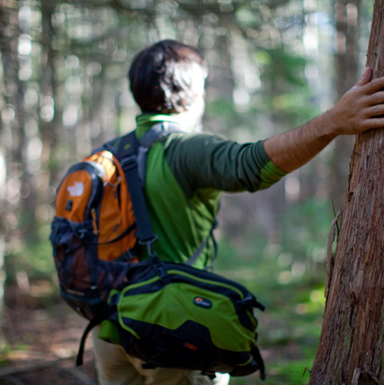 schoodic southeast park boundary 045 1050x700 1 768x770