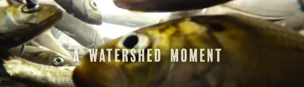wateshed moment