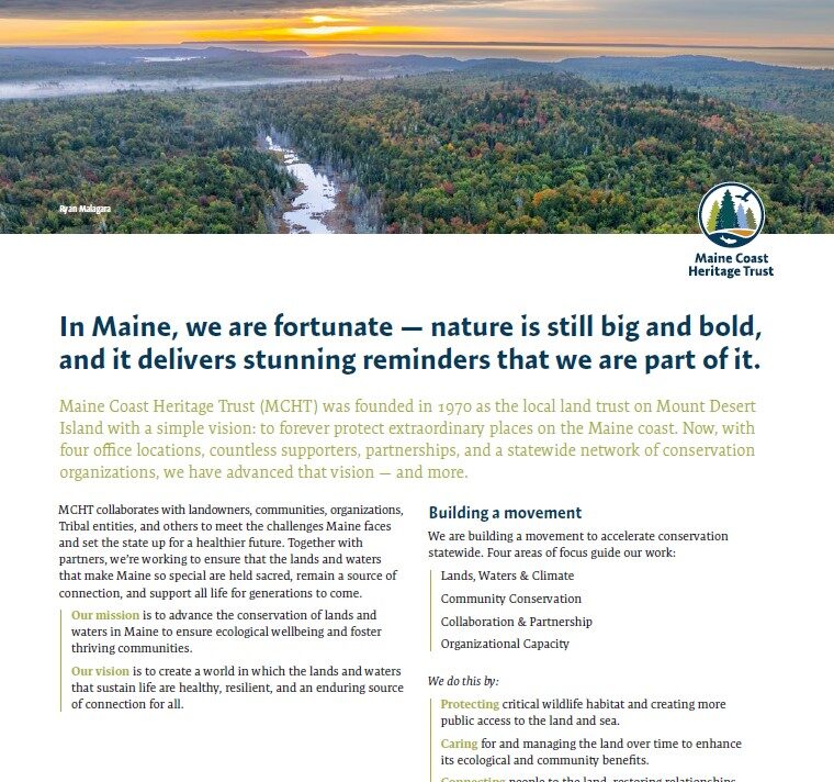 factsheet4