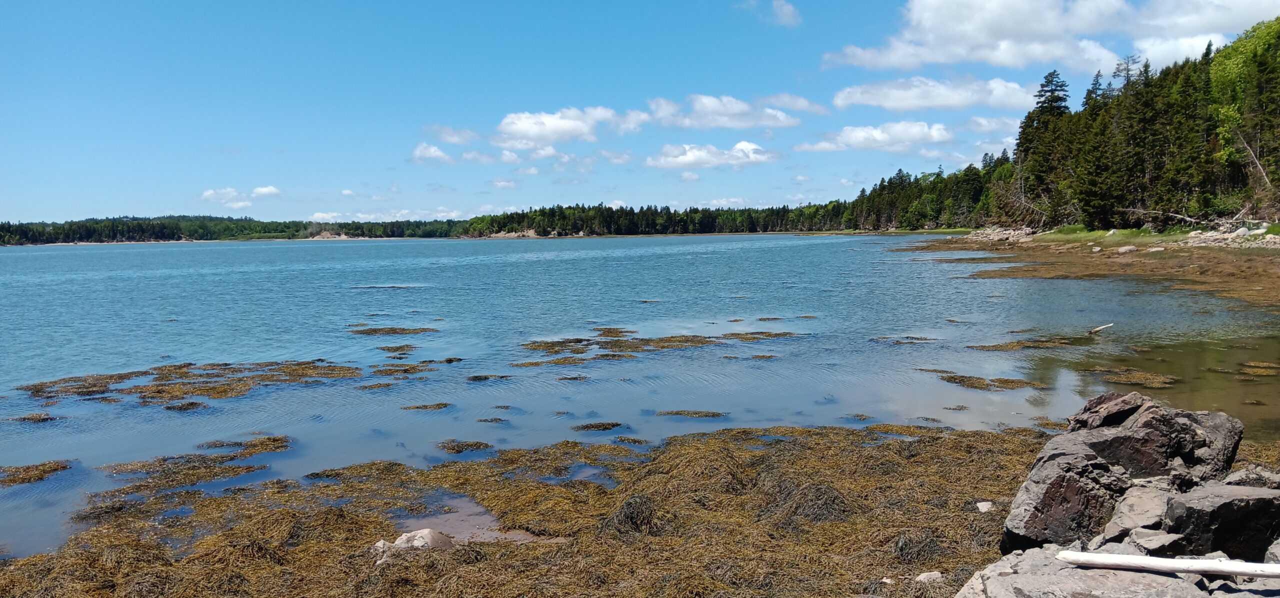 Mason Bay 2024.06.04