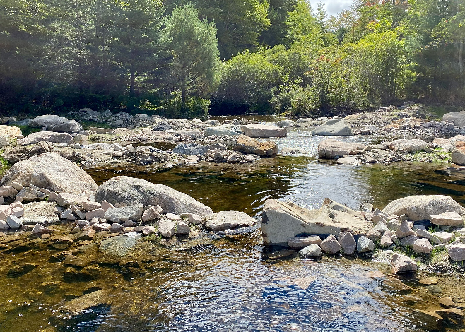 Seal Cove Pond Dam Fishway 2 (1)