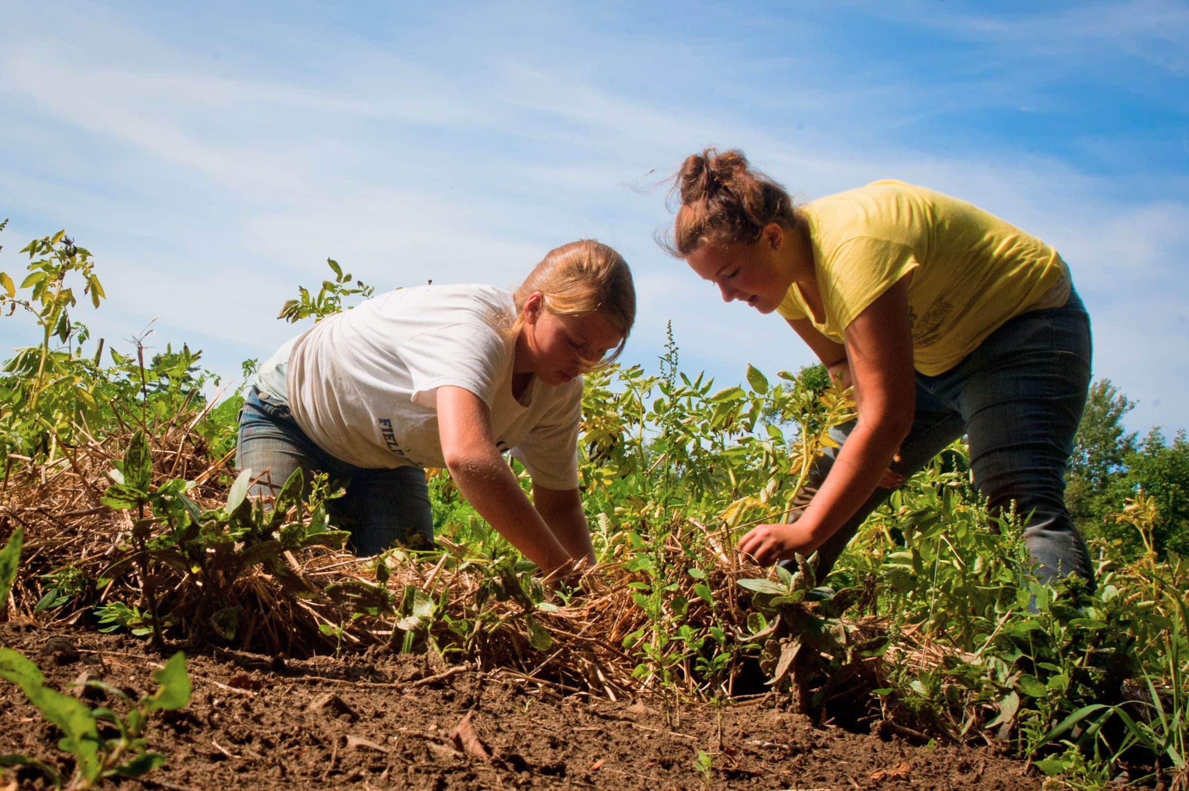 mcht nature connects april 2026