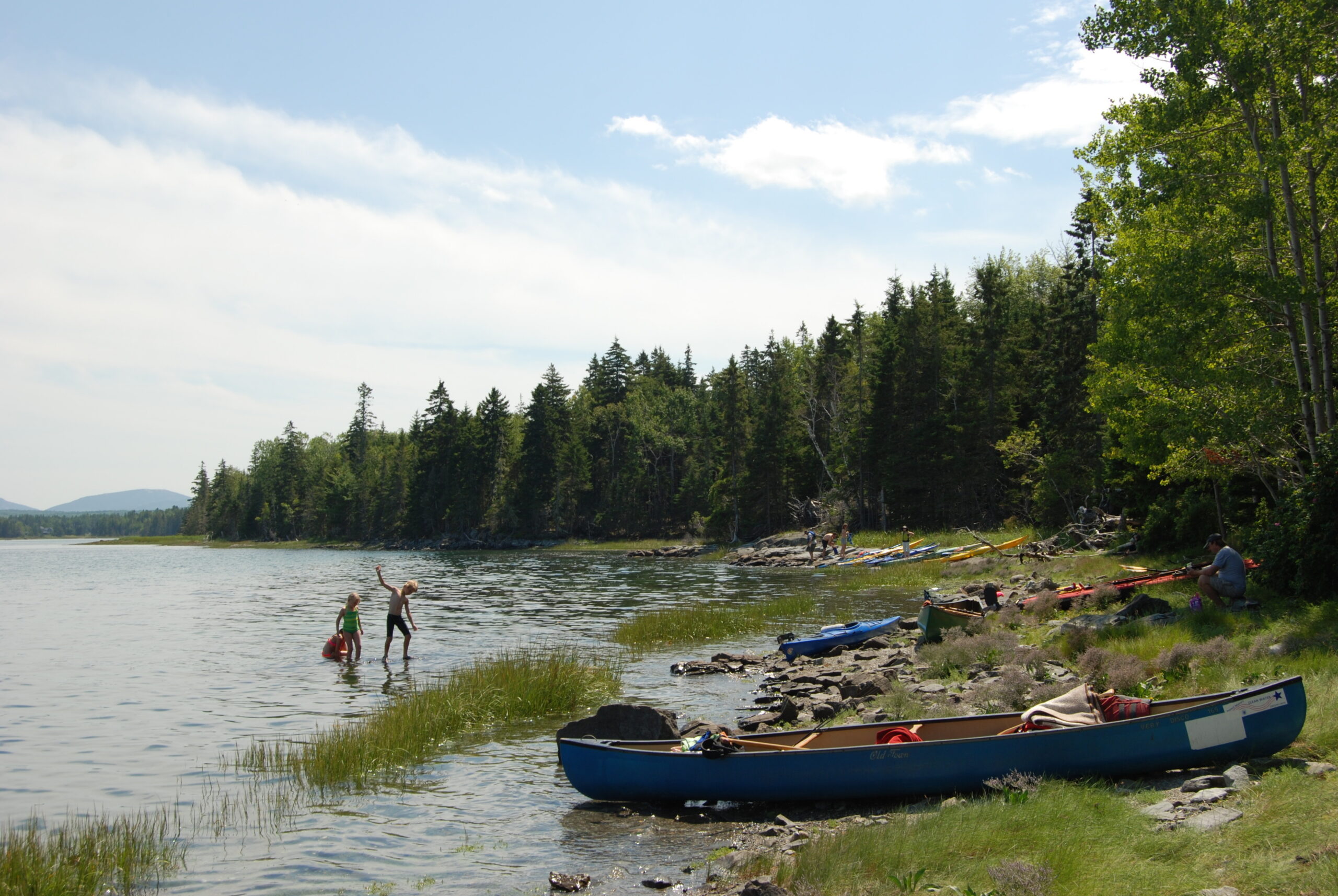thomas island clean up