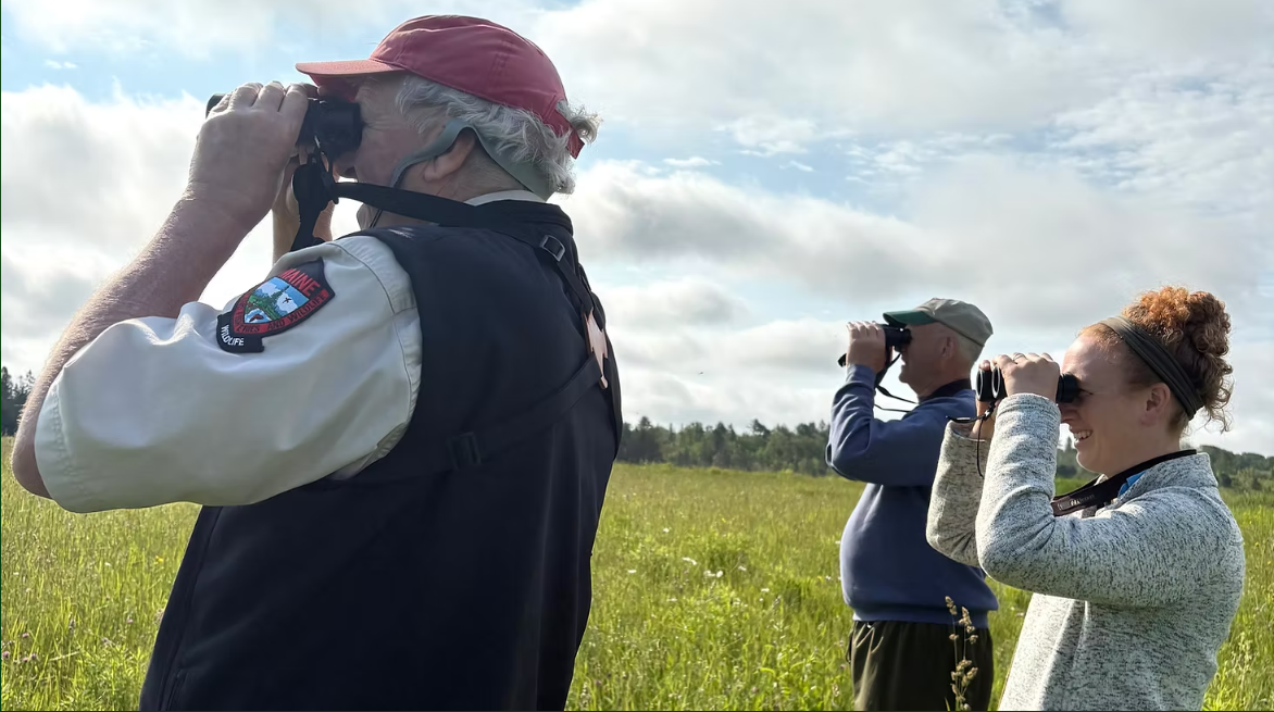Bird walk GRLT