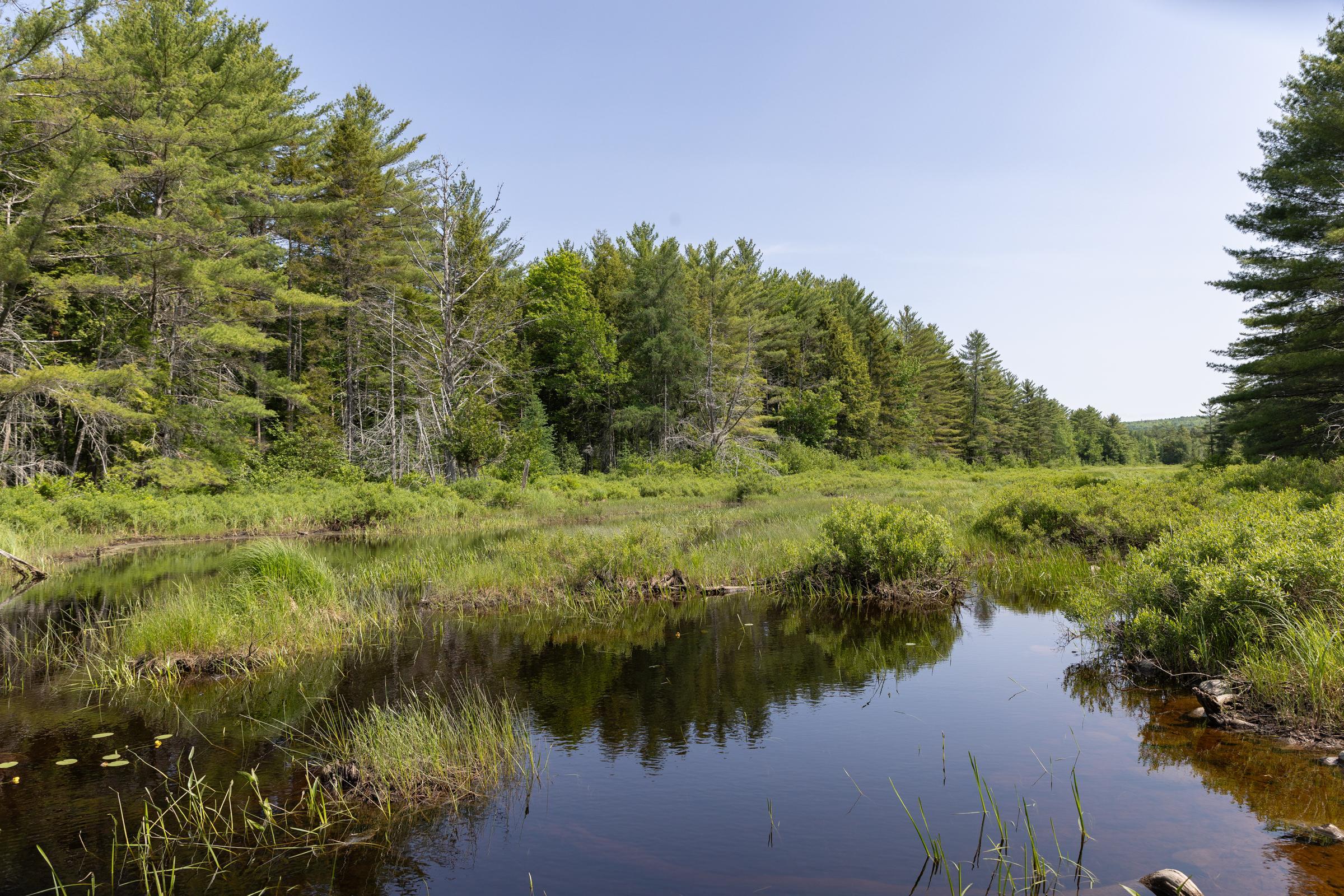 Ryan Smith Rooted in Light Media Sheepscot River (Midcoast Conservancy Project)