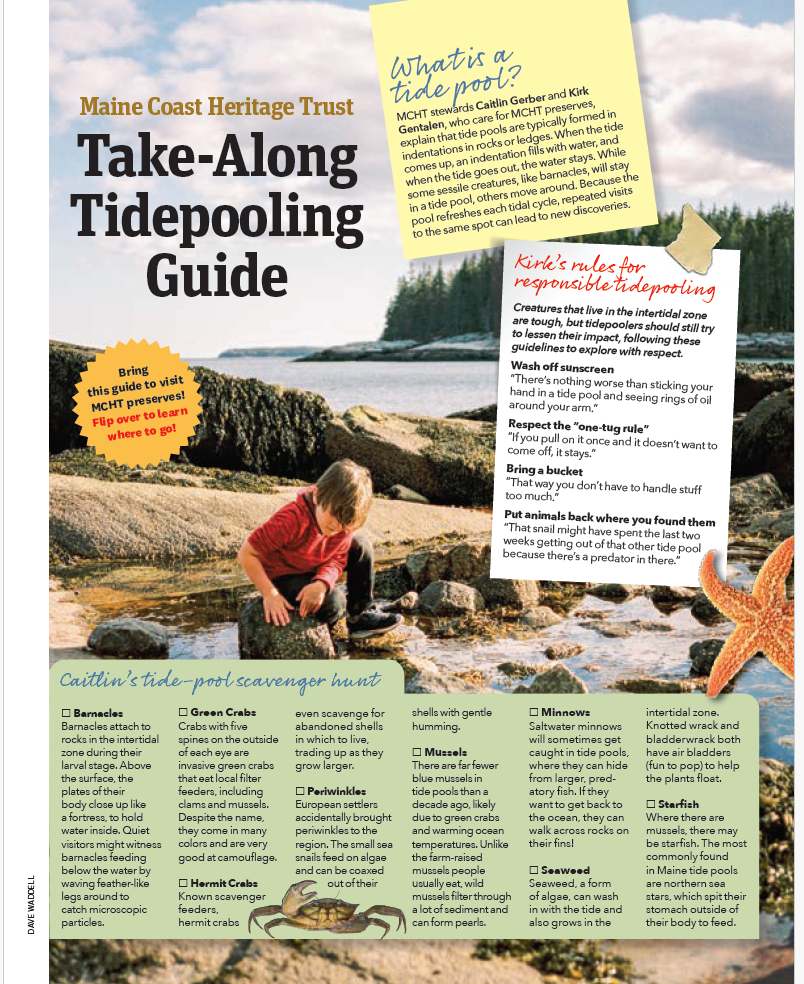 Tide Pool Guide cover