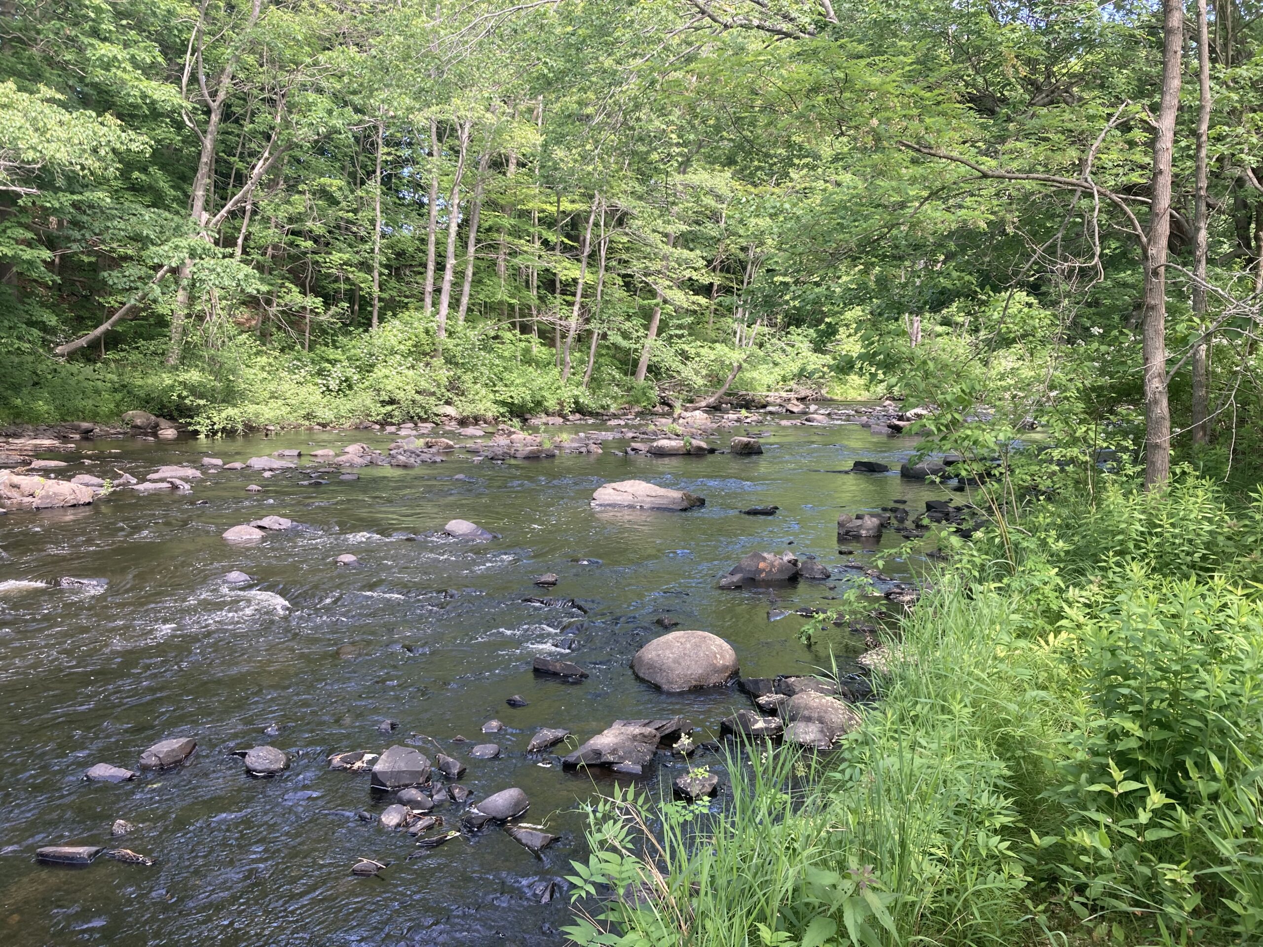 mousam cold water habitat