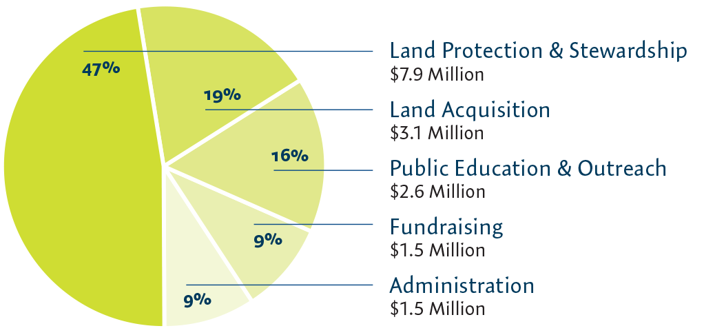 2025 annual report financials