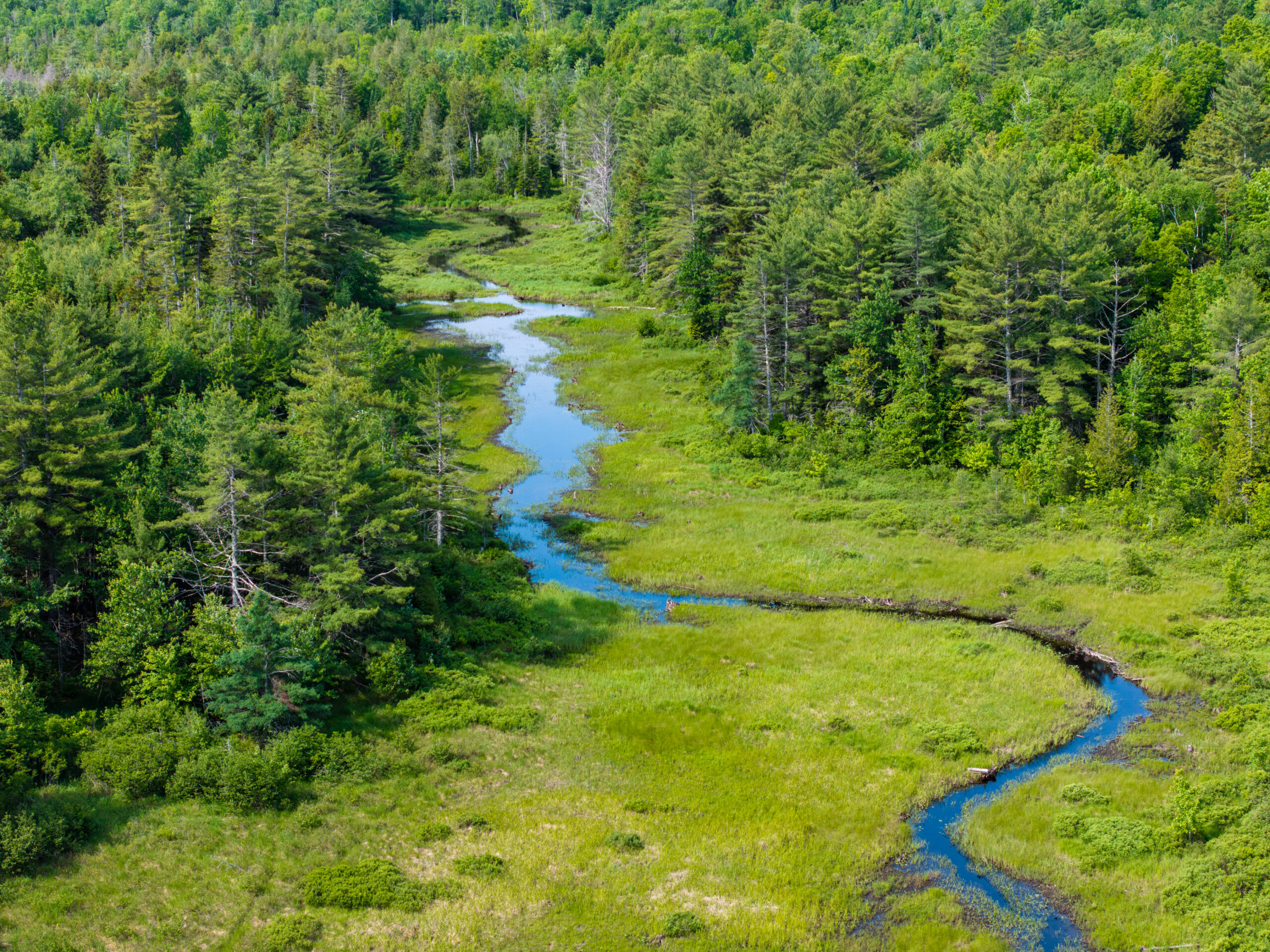 Sheepscot River pic (3)