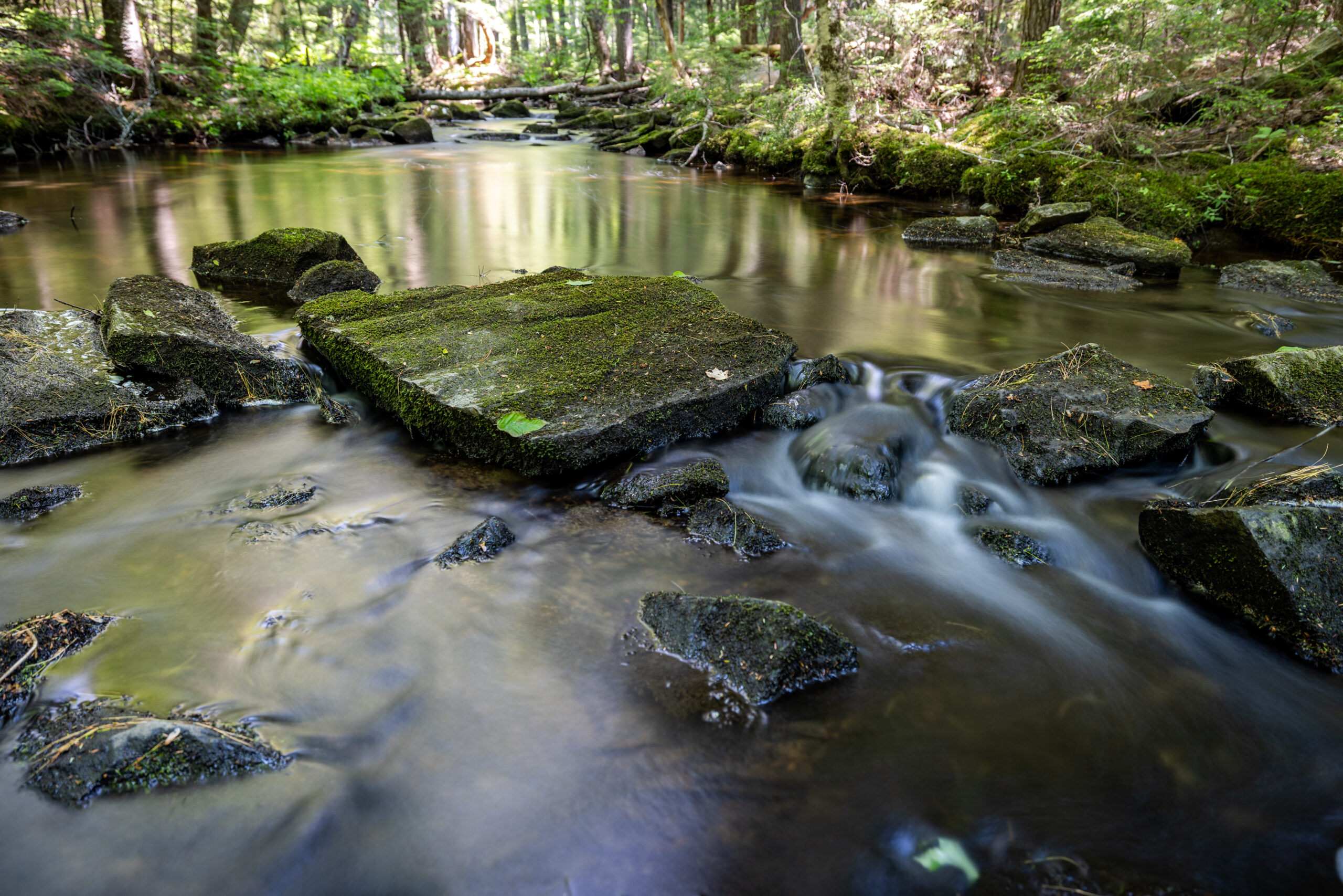 Sheepscot River pic (5)