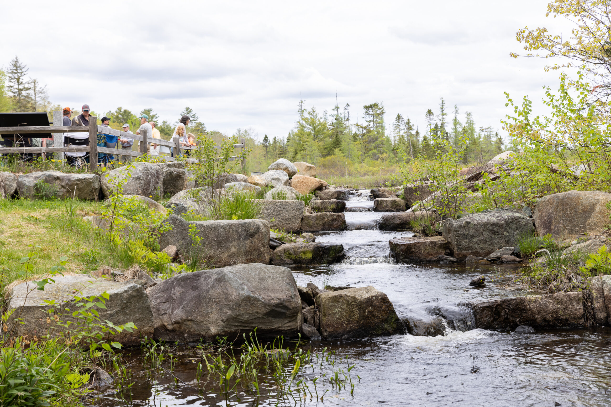 bagaduce river fish passage