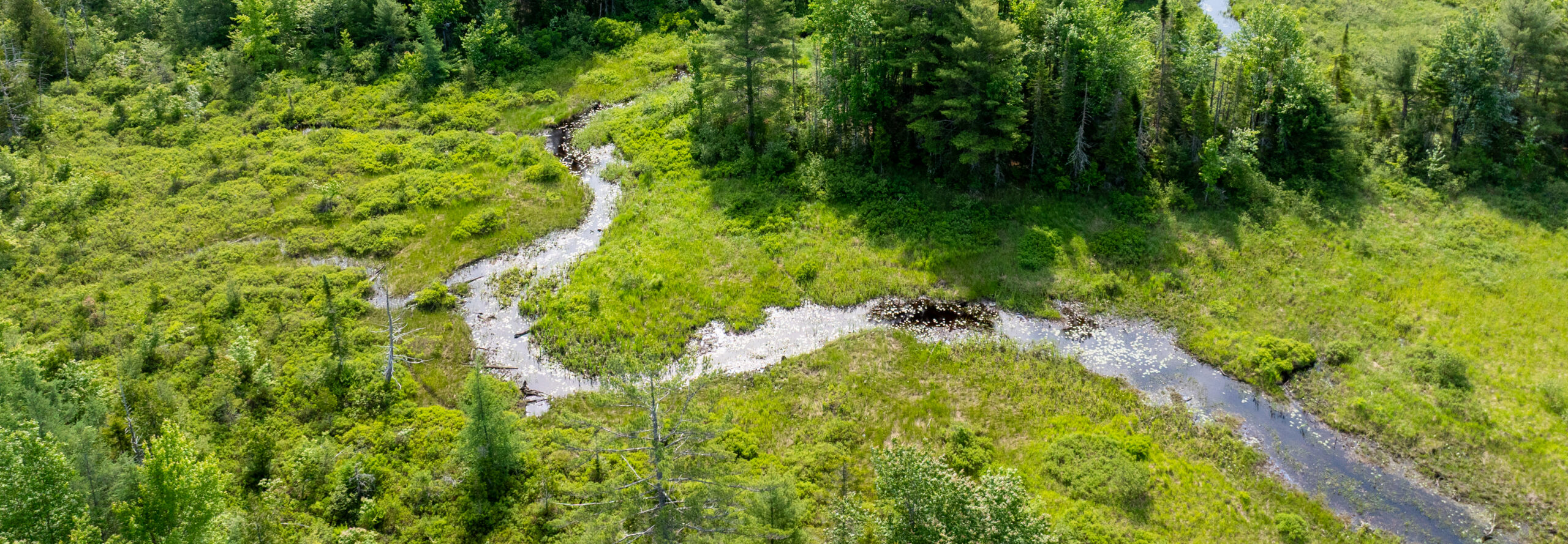 sheepscot header desktop