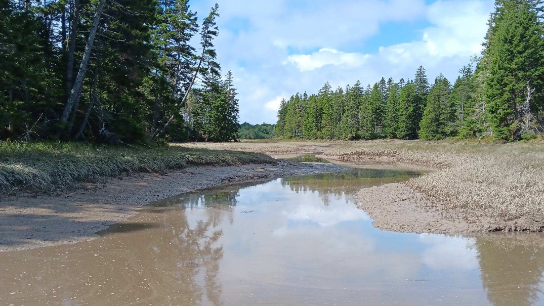 upper wass cove