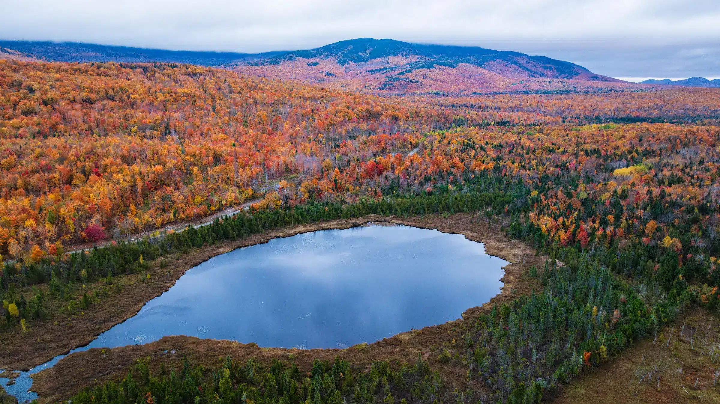Hilton Family Forest 2 photo by Jerry Monkman courtesy of The Conservation Fund