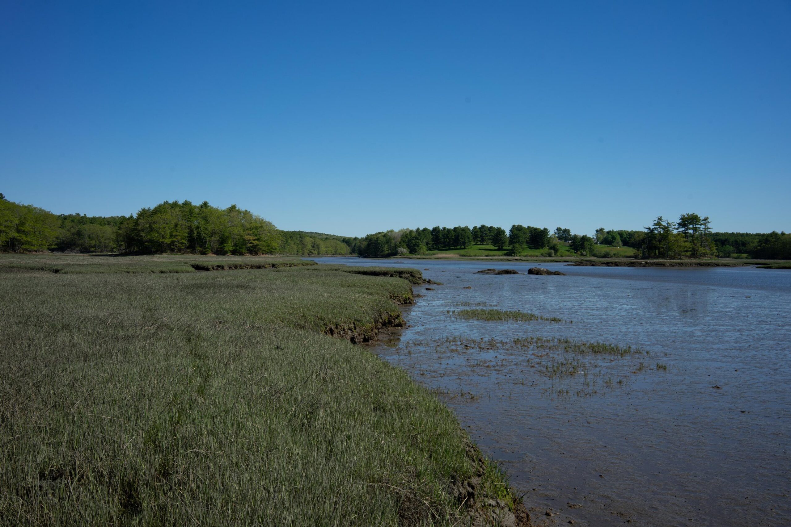 Montswag looking upriver and saltmarsh