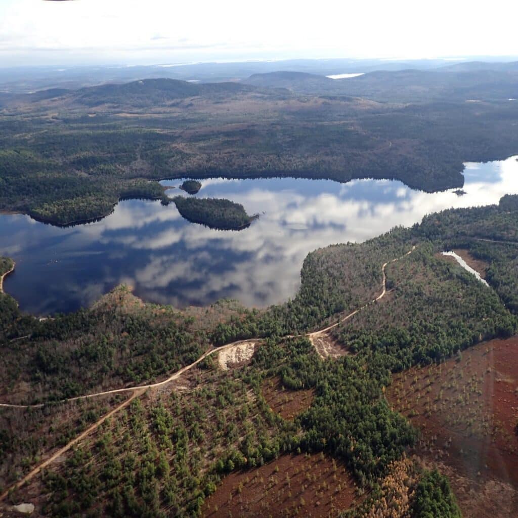 Narraguagus Lake mark berry