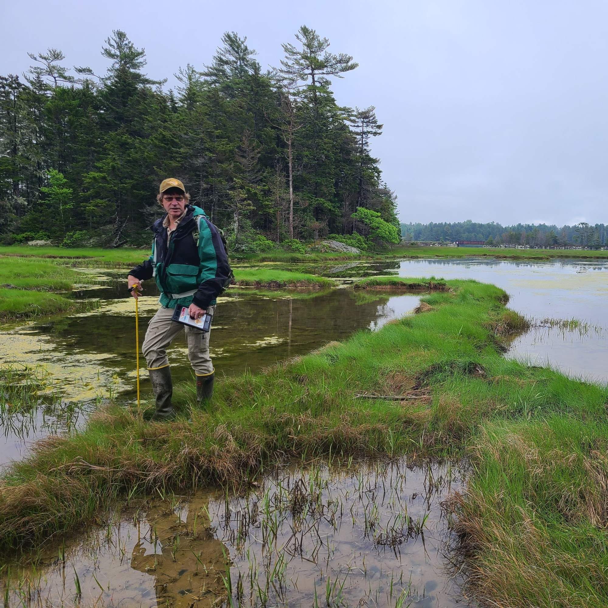 annual report marshes