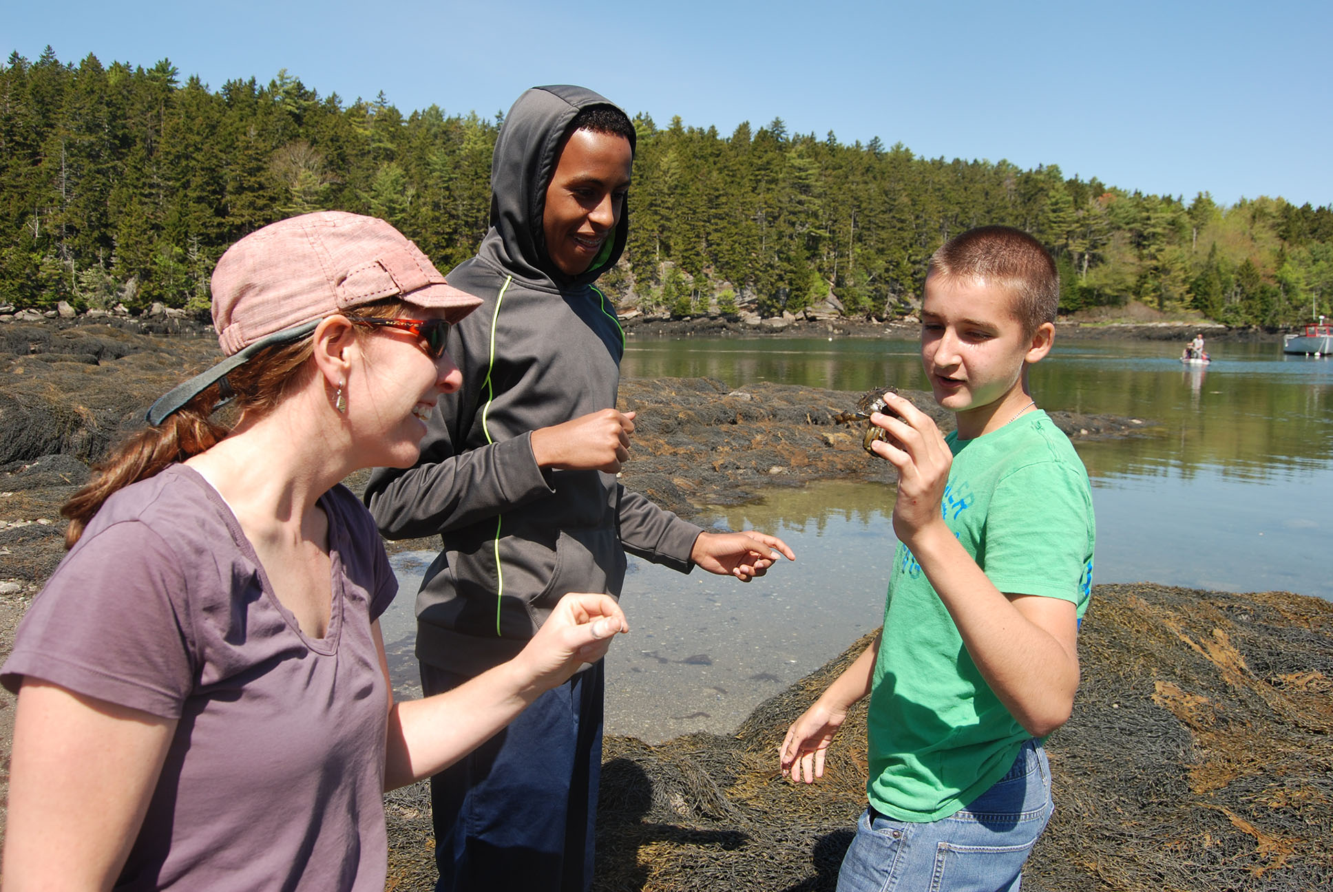 kids and adult looking at hermit crab
