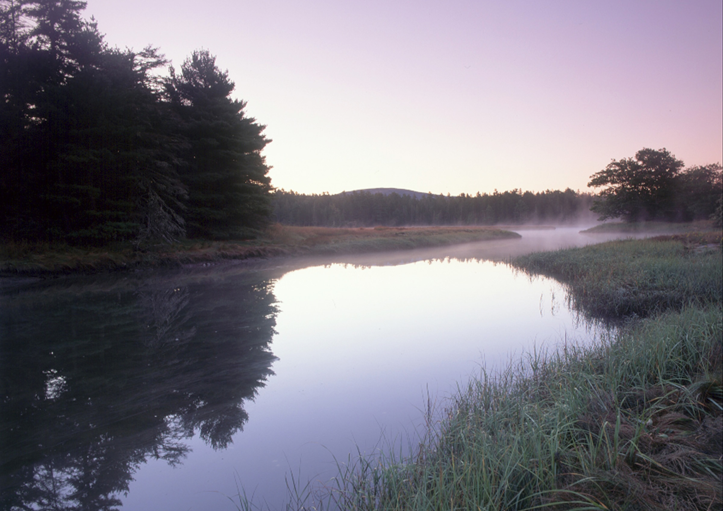 Babson Dawn Header Mobile