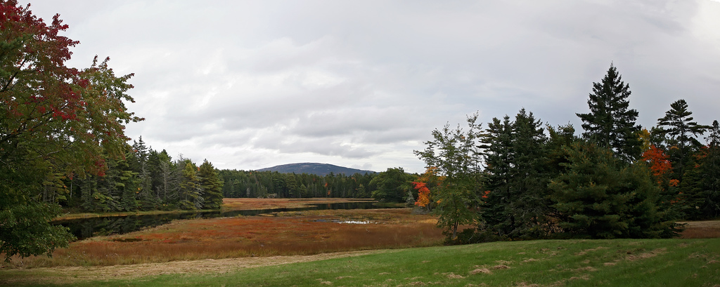 Babson Creek fields copyright john rivers