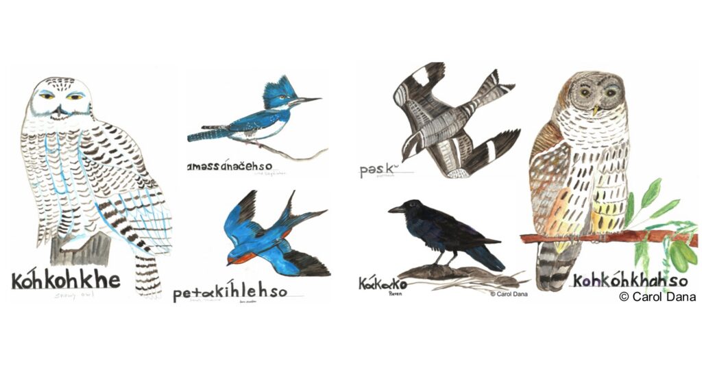 BirdWalkArtWalkFB (1)